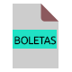 icono-Boletas-elecciones-2021